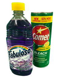 Disinfectant/Household Cleaners--One Case of 24 Bottles